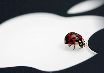 نشت اطلاعات رمزگذاری شده در مک