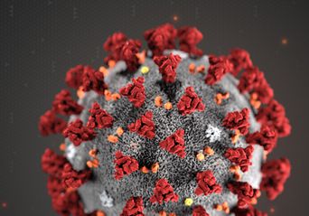 استفاده هکرها از ویروس کرونا