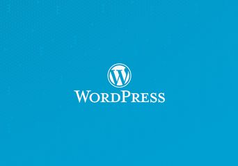 به‌روزرسانی خودکار وردپرس